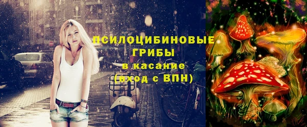 а пвп мука Кинешма