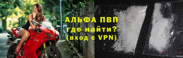 сатива Киров