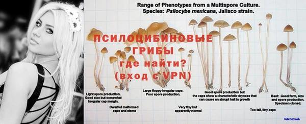 а пвп мука Кинешма