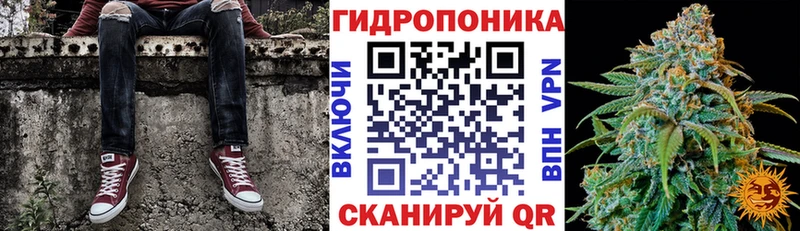 где найти наркотики  Наволоки  ссылка на мегу вход  Шишки марихуана марихуана 